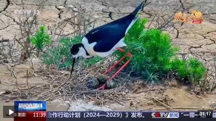 微信截图_20241025192310.png