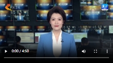 微信截图_20241028165729.png