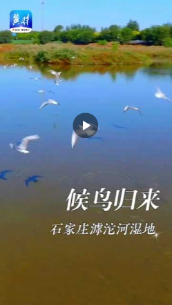 wechat_2024-11-02_213113_970.png