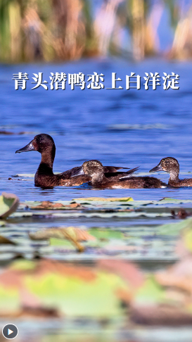wechat_2024-11-06_181627_023.png
