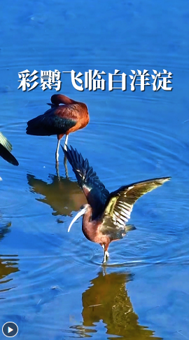 wechat_2024-11-07_192942_648.png
