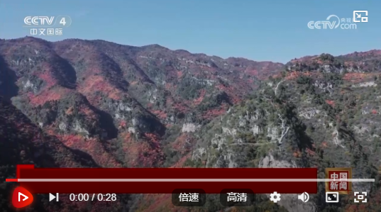 wechat_2024-11-07_193827_562.png