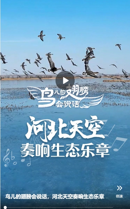 微信截图_20241108204116.png