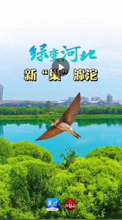 微信截图_20241118194831.png