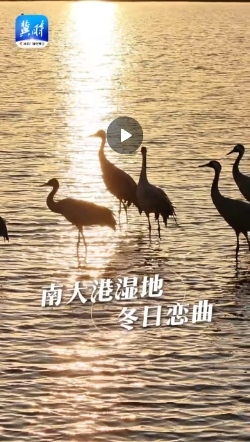 微信截图_20241121194710.png