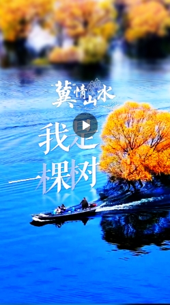 微信截图_20241126155352.png