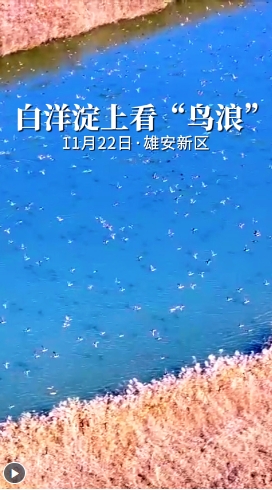 微信截图_20241201091821.png