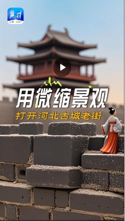 微信截图_20241201105645.png