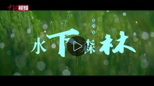 微信截图_20241202163302.png