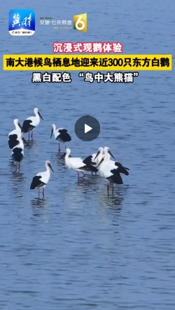 微信截图_20241204163953.png