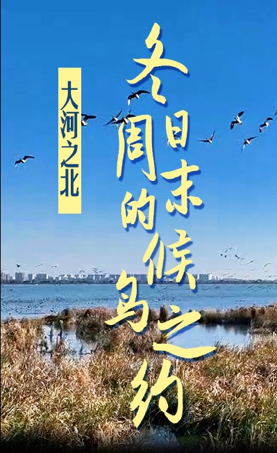 微信截图_20241208154206.png