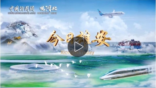 微信截图_20241218162010.png