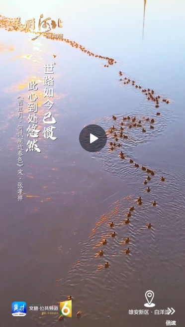 微信截图_20250119185807.png