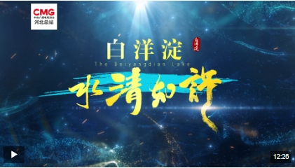 微信截图_20250204174557.png