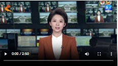 微信截图_20250209182930.png