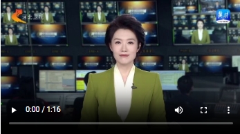 微信截图_20250211155659.png