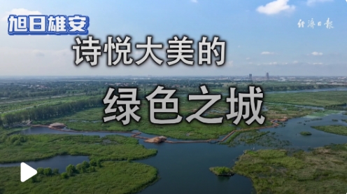 微信截图_20250218164943.png
