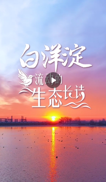 微信截图_20250224164356.png
