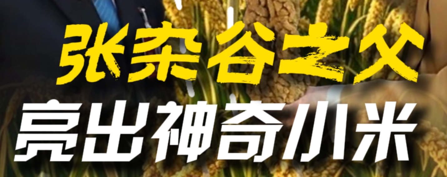 微信截图_20250309192813.png