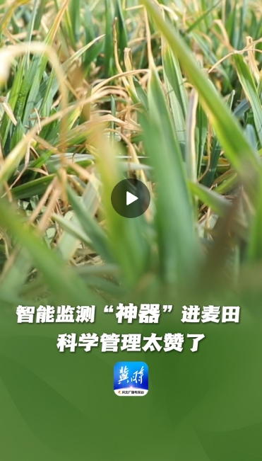 微信截图_20250313160333.png