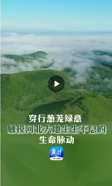 微信截图_20250321135027.png