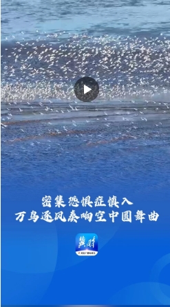 微信截图_20250323190846.png