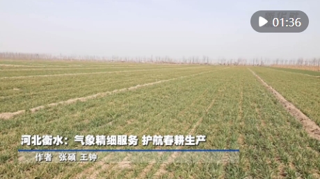 微信截图_20250324180326.png
