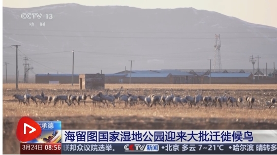 微信截图_20250324180131.png