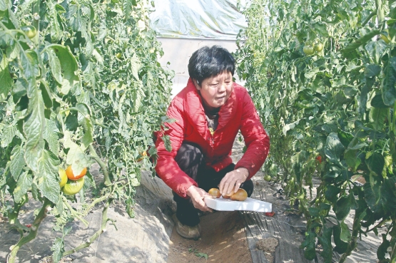 微信截图_20250330193703.png