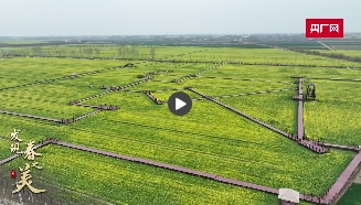 微信截图_20250401141814.png
