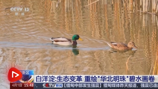 微信截图_20250402163848.png
