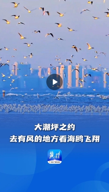 微信截图_20250403162534.png
