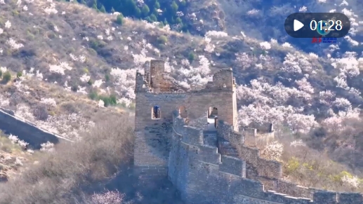 微信截图_20250407163406.png