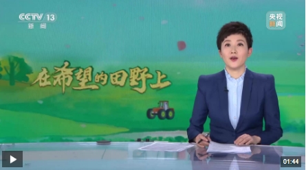 微信截图_20250410153919.png