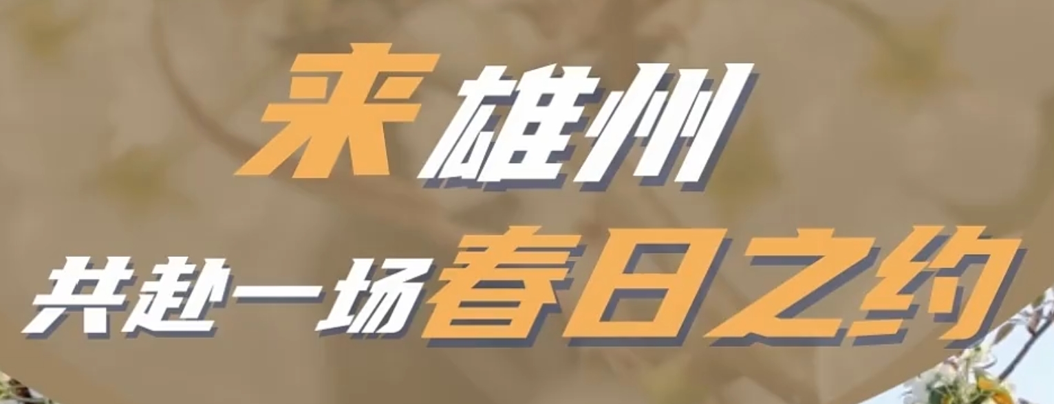 微信截图_20250410154303.png