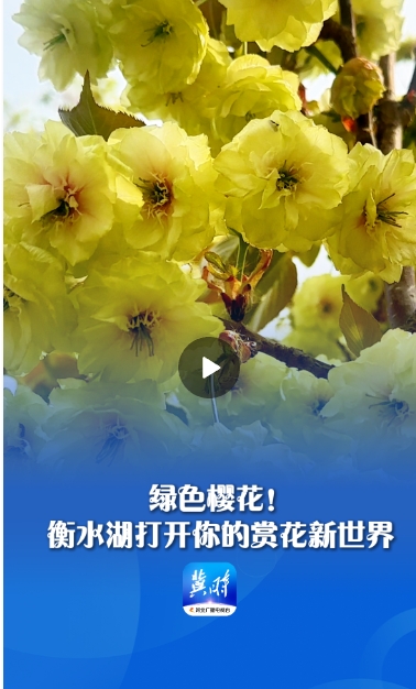 微信截图_20250413211052.png