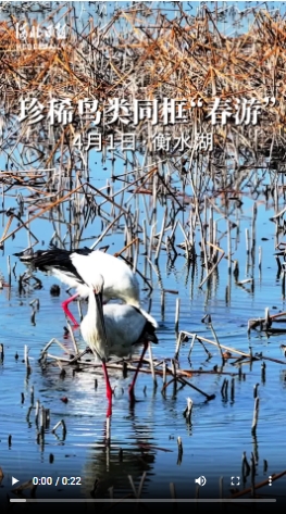 微信截图_20250414160601.png