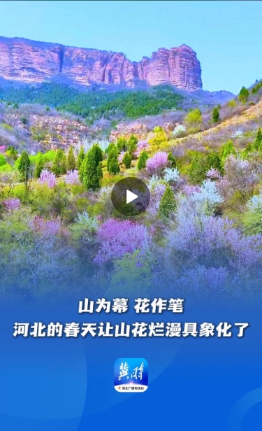 微信截图_20250415161424.png