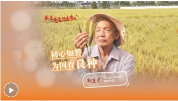 微信截图_20250417165426.png