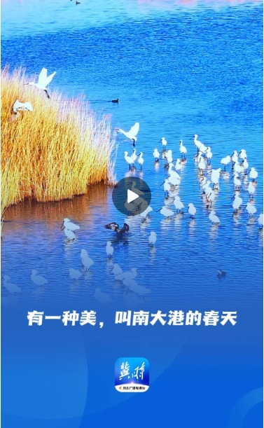 微信截图_20250418154327.png