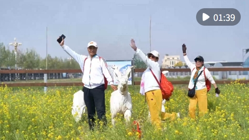 微信截图_20250418154050.png