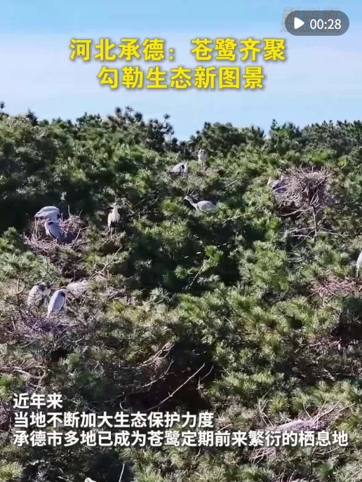 微信截图_20250418154152.png