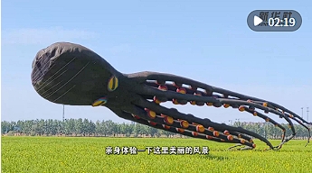 微信截图_20250505133932.png
