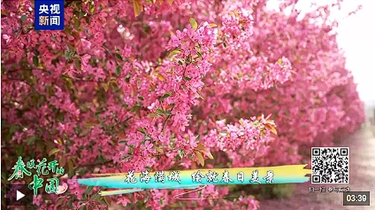 微信截图_20250505120506.png