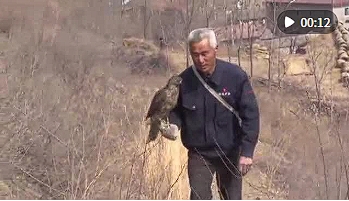 微信截图_20250511173432.png