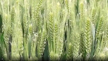 微信截图_20250511173956.png
