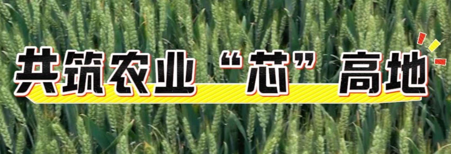 微信截图_20250516202030.png