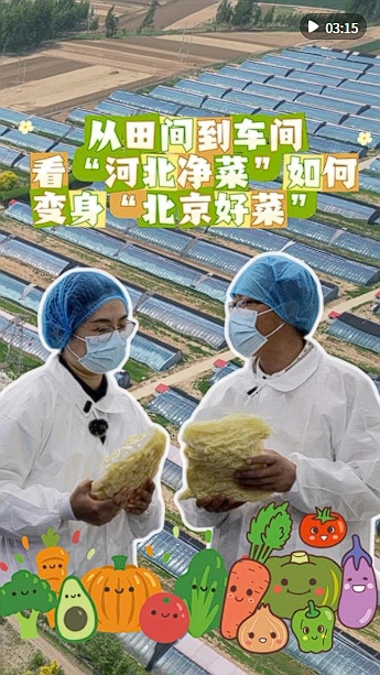 微信截图_20250517212612.png