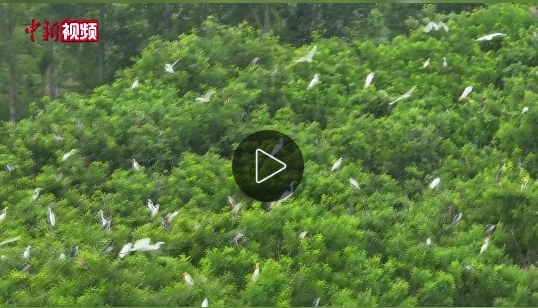 微信截图_20250525194140.png