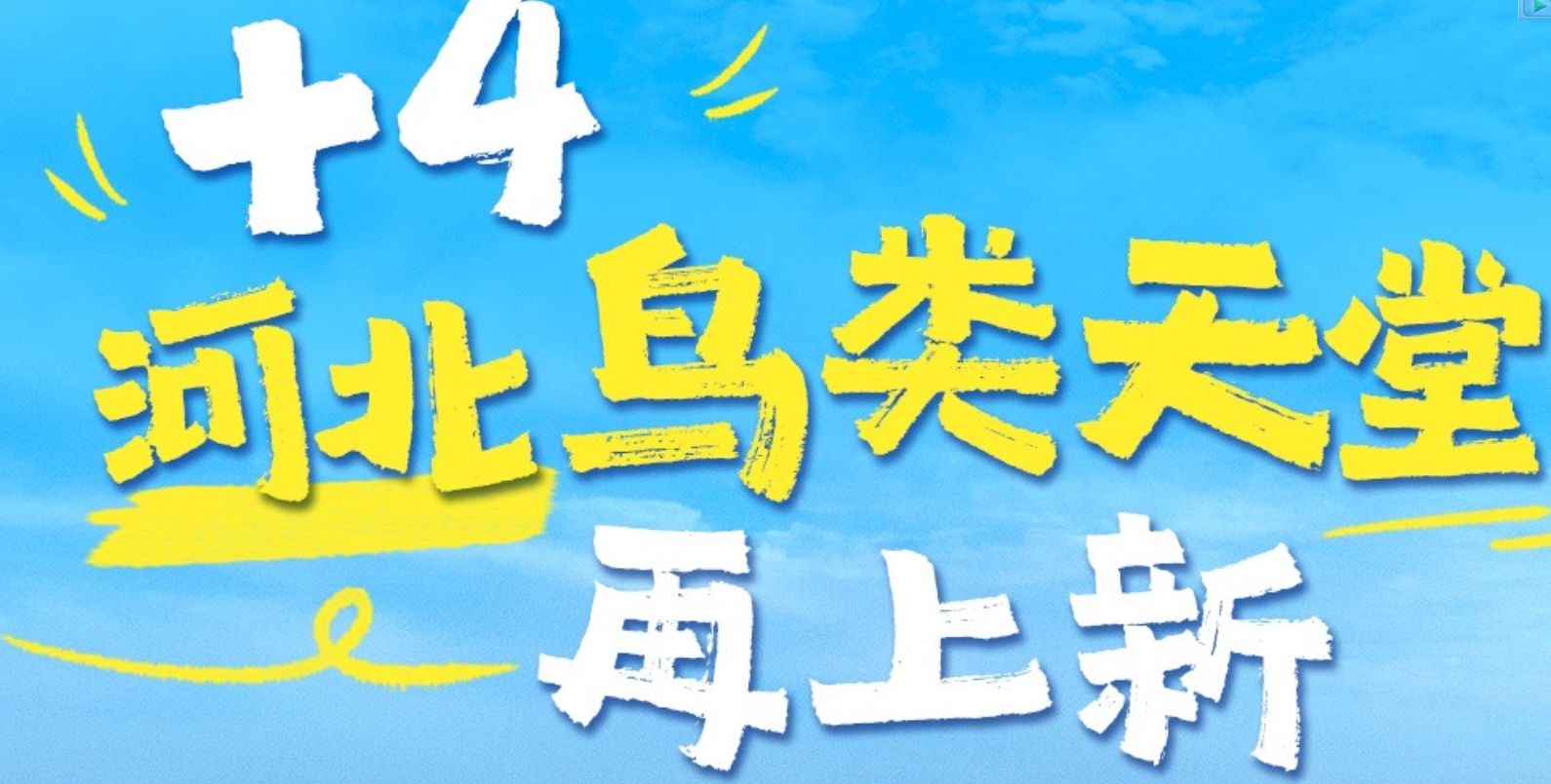 微信截图_20250529154430.png